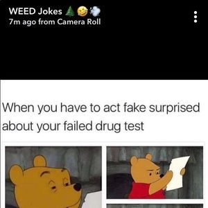 Meet your Posher, Henry